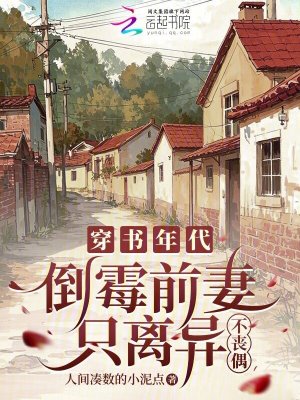 穿書年代，倒黴前妻只離異不喪偶