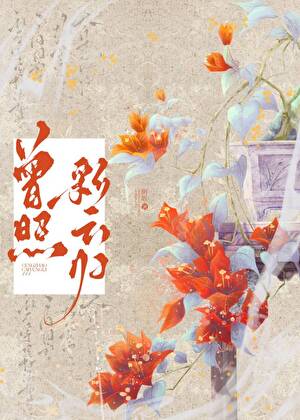 曾照彩雲歸