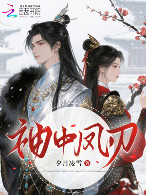 袖中鳳刃